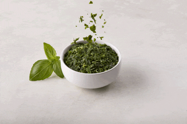 Basil Large Motion ezgif.com optimize