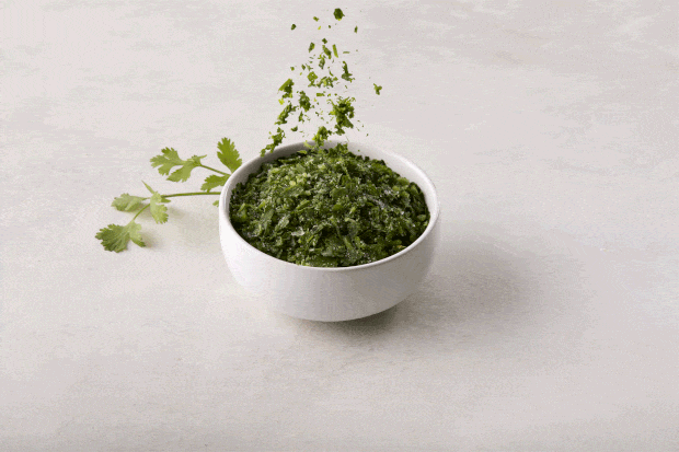 Cilantro Large Motion ezgif.com optimize