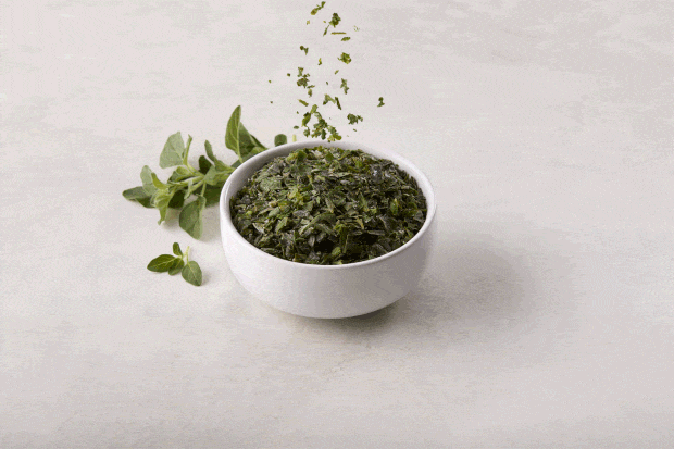Oregano Medium Motion ezgif.com optimize