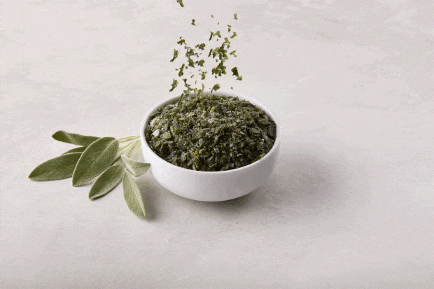 Sage Medium Motion ezgif.com optimize