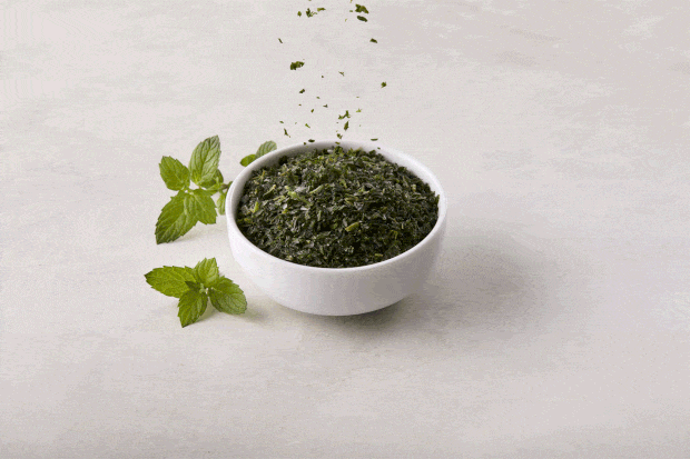 Spearamint Motion ezgif.com optimize