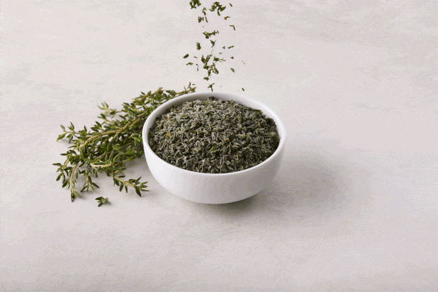 Thyme Motion ezgif.com optimize