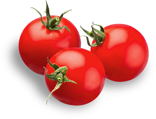 tuscan tomato