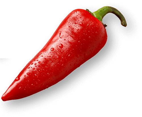 red-jalapeno