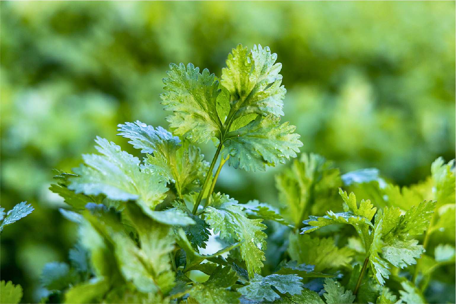 1944d99281eb30b430bba60c508301be66970a14 1