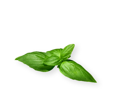 AdobeStock 521318575 1