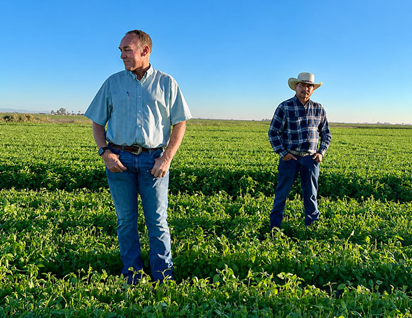 IMG Farmers